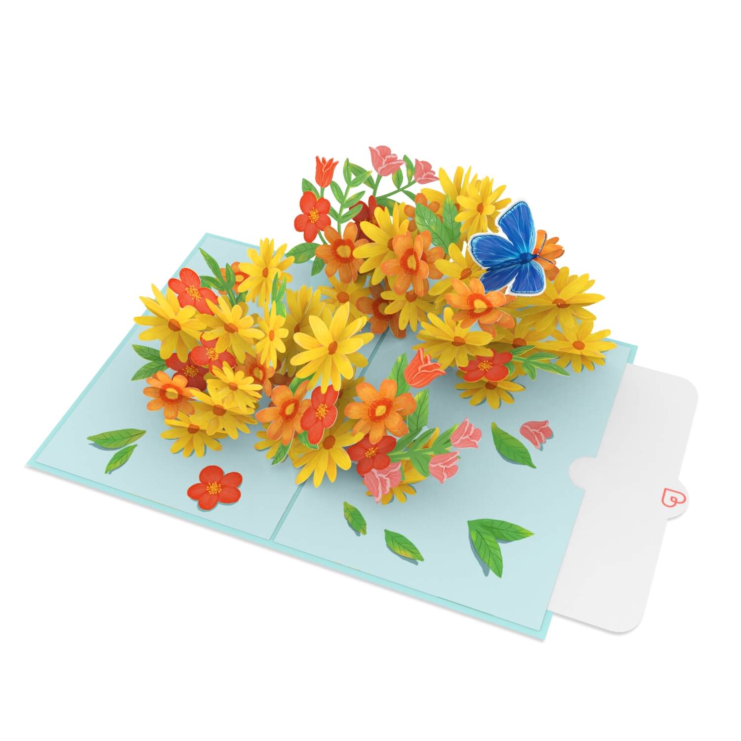 Bunte Gänseblümchen mit Schmetterling Pop-Up Karte