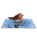 Rotkehlchen im Winter Pop-Up Karte
