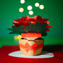 Weihnachtsstern Pop-Up Karte